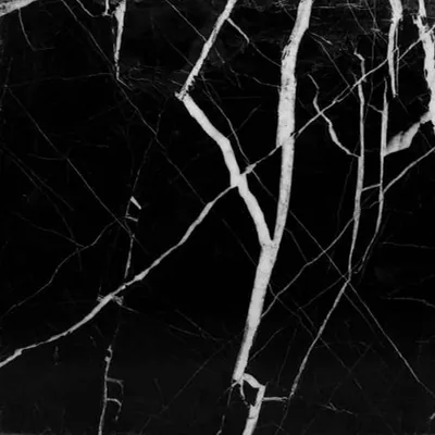 Black Indian marble with white veining